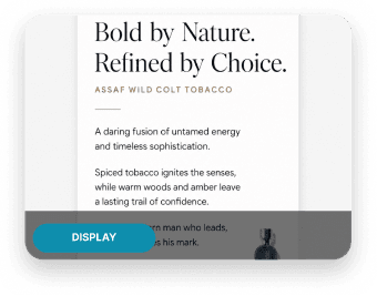 Reusable ecommerce ad template preview