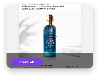 Static ecommerce ad template preview