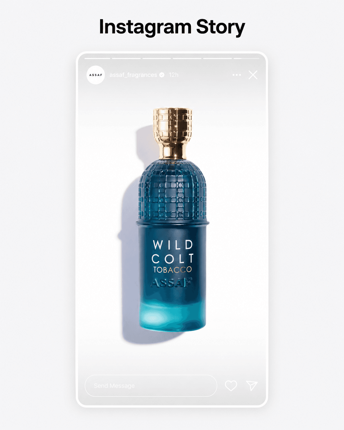Instagram campaign output preview